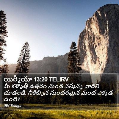 యిర్మీయా 13:20 TELIRV Bible Verse Image