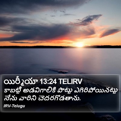 యిర్మీయా 13:24 TELIRV Bible Verse Image