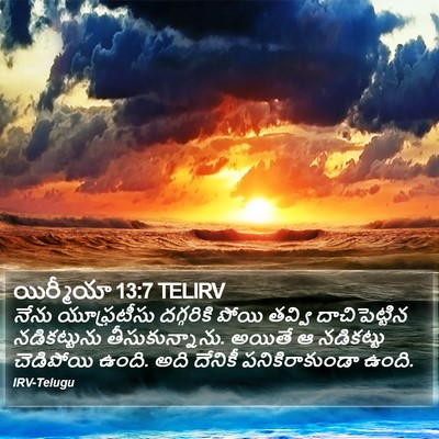 యిర్మీయా 13:7 TELIRV Bible Verse Image