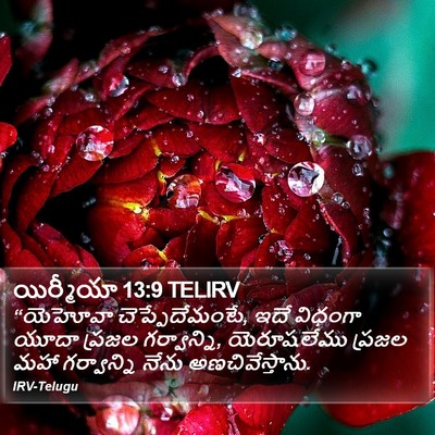 యిర్మీయా 13:9 TELIRV Bible Verse Image