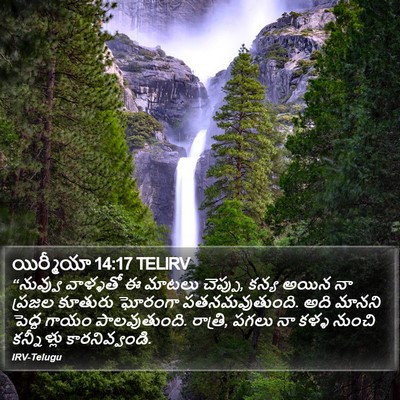 యిర్మీయా 14:17 TELIRV Bible Verse Image