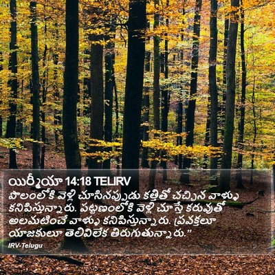 యిర్మీయా 14:18 TELIRV Bible Verse Image