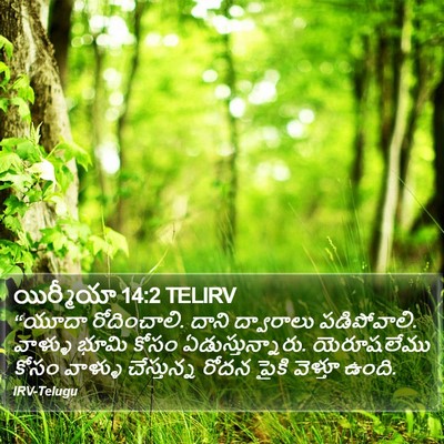 యిర్మీయా 14:2 TELIRV Bible Verse Image