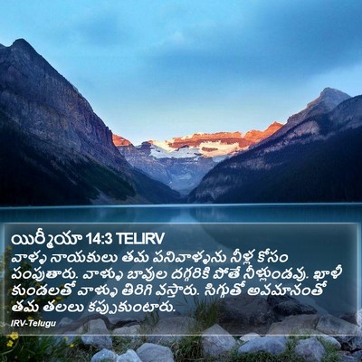 యిర్మీయా 14:3 TELIRV Bible Verse Image
