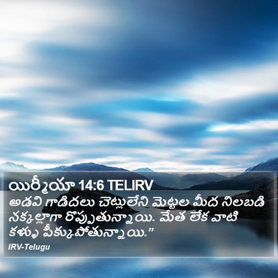 యిర్మీయా 14:6 TELIRV Bible Verse Image