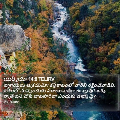 యిర్మీయా 14:8 TELIRV Bible Verse Image