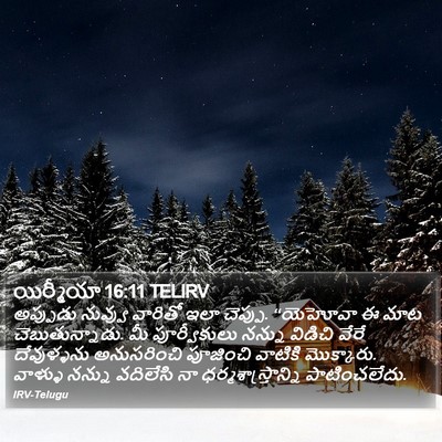 యిర్మీయా 16:11 TELIRV Bible Verse Image