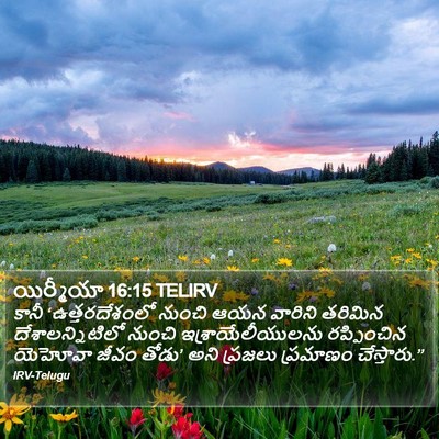 యిర్మీయా 16:15 TELIRV Bible Verse Image
