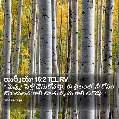 యిర్మీయా 16:2 TELIRV Bible Verse Image