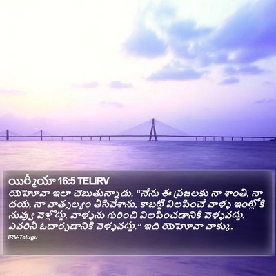 యిర్మీయా 16:5 TELIRV Bible Verse Image