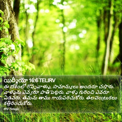 యిర్మీయా 16:6 TELIRV Bible Verse Image