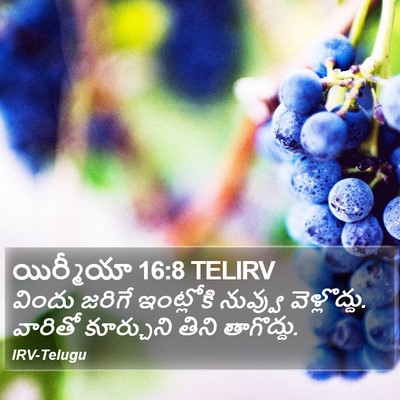 యిర్మీయా 16:8 TELIRV Bible Verse Image