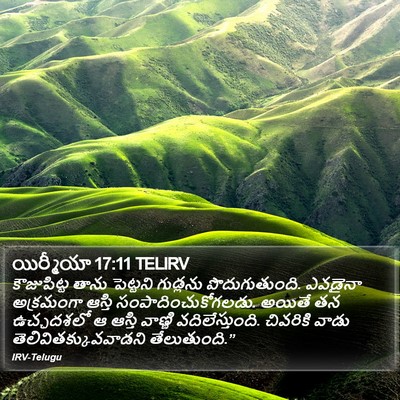 యిర్మీయా 17:11 TELIRV Bible Verse Image