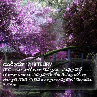యిర్మీయా 17:19 TELIRV Bible Verse Image