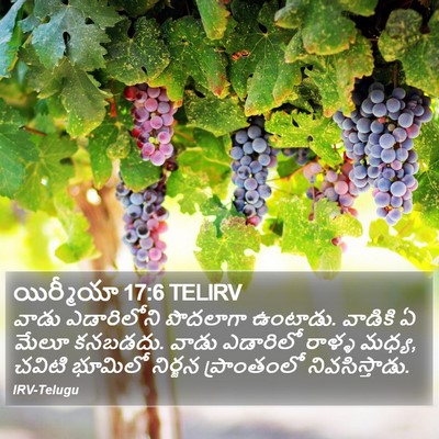 యిర్మీయా 17:6 TELIRV Bible Verse Image