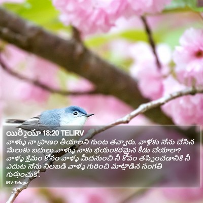 యిర్మీయా 18:20 TELIRV Bible Verse Image