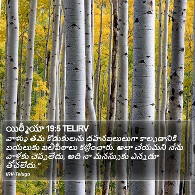 యిర్మీయా 19:5 TELIRV Bible Verse Image