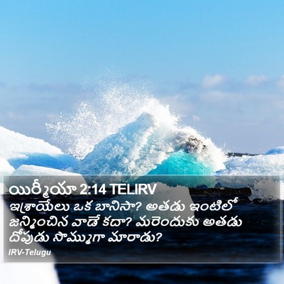 యిర్మీయా 2:14 TELIRV Bible Verse Image