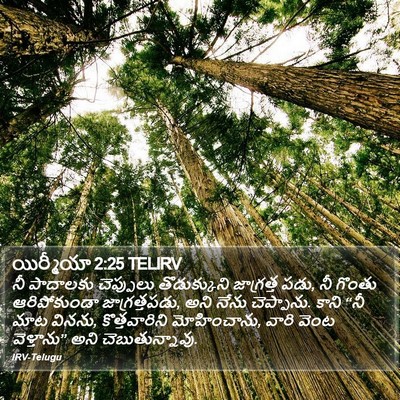 యిర్మీయా 2:25 TELIRV Bible Verse Image