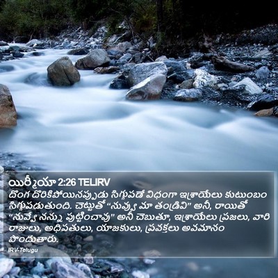 యిర్మీయా 2:26 TELIRV Bible Verse Image