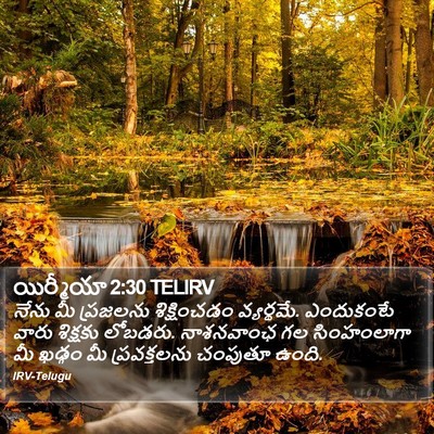 యిర్మీయా 2:30 TELIRV Bible Verse Image