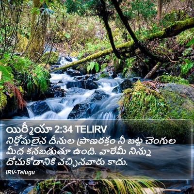 యిర్మీయా 2:34 TELIRV Bible Verse Image
