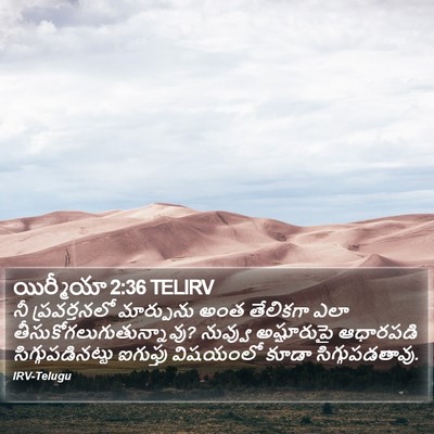 యిర్మీయా 2:36 TELIRV Bible Verse Image