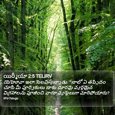 యిర్మీయా 2:5 TELIRV Bible Verse Image