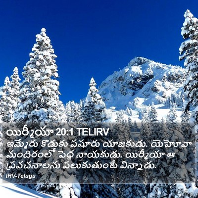యిర్మీయా 20:1 TELIRV Bible Verse Image