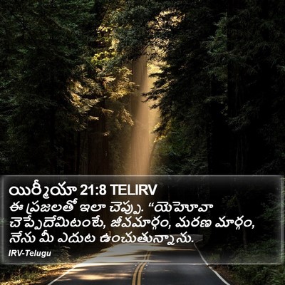 యిర్మీయా 21:8 TELIRV Bible Verse Image