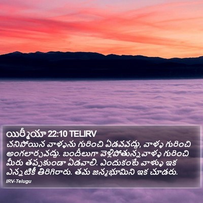 యిర్మీయా 22:10 TELIRV Bible Verse Image