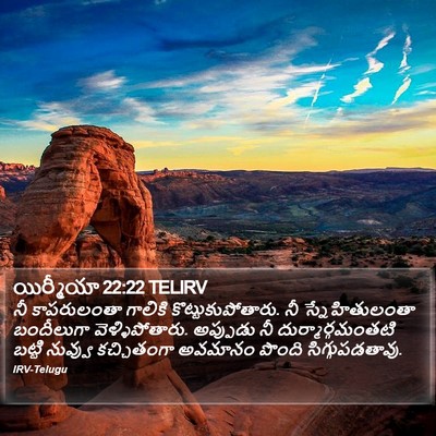 యిర్మీయా 22:22 TELIRV Bible Verse Image