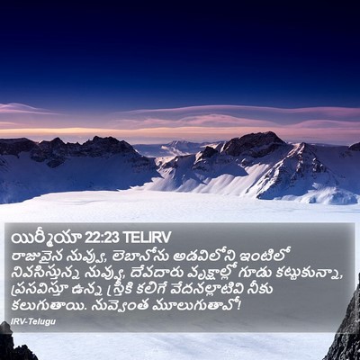 యిర్మీయా 22:23 TELIRV Bible Verse Image