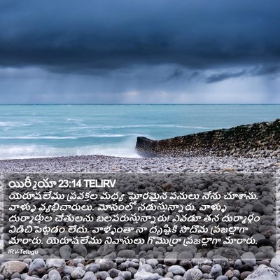 యిర్మీయా 23:14 TELIRV Bible Verse Image
