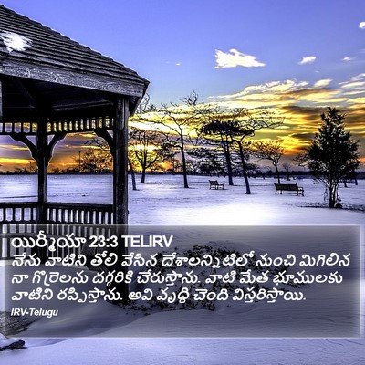 యిర్మీయా 23:3 TELIRV Bible Verse Image