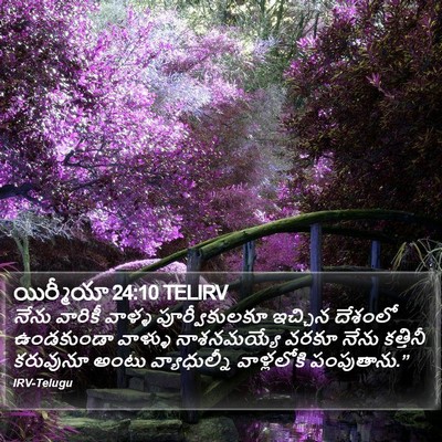 యిర్మీయా 24:10 TELIRV Bible Verse Image