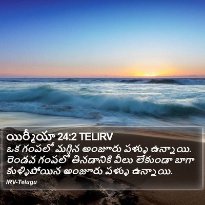యిర్మీయా 24:2 TELIRV Bible Verse Image