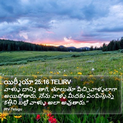 యిర్మీయా 25:16 TELIRV Bible Verse Image