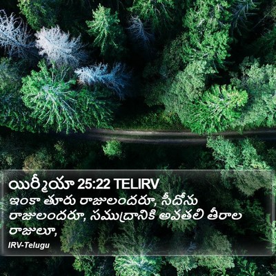 యిర్మీయా 25:22 TELIRV Bible Verse Image