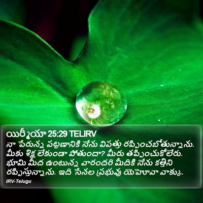 యిర్మీయా 25:29 TELIRV Bible Verse Image