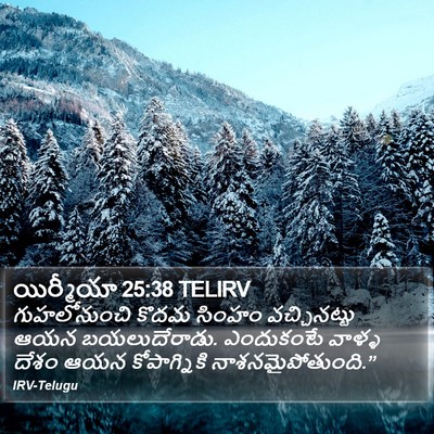 యిర్మీయా 25:38 TELIRV Bible Verse Image