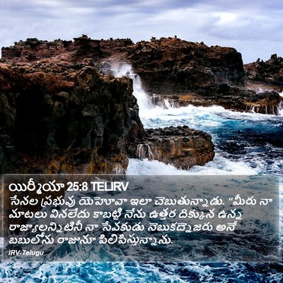 యిర్మీయా 25:8 TELIRV Bible Verse Image