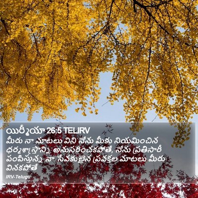 యిర్మీయా 26:5 TELIRV Bible Verse Image