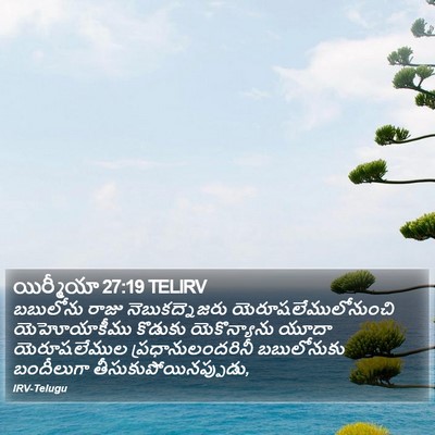 యిర్మీయా 27:19 TELIRV Bible Verse Image