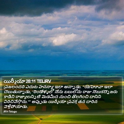 యిర్మీయా 28:11 TELIRV Bible Verse Image