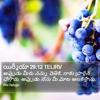 యిర్మీయా 29:12 TELIRV Bible Verse Image