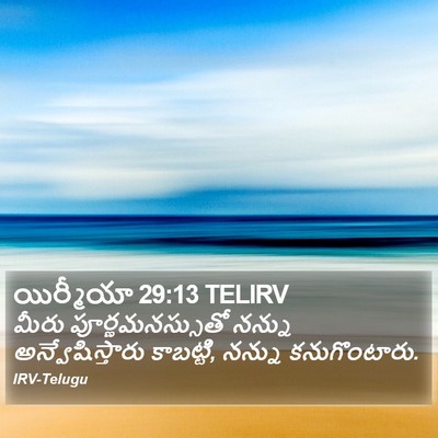 యిర్మీయా 29:13 TELIRV Bible Verse Image