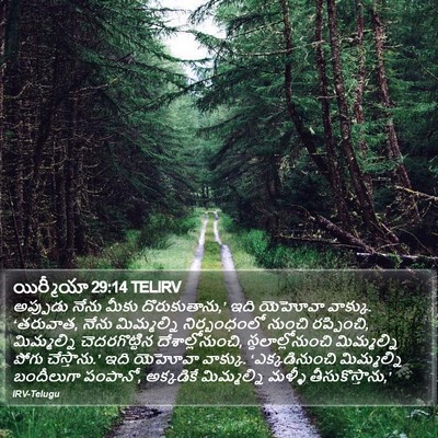 యిర్మీయా 29:14 TELIRV Bible Verse Image