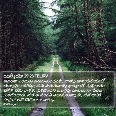 యిర్మీయా 29:23 TELIRV Bible Verse Image
