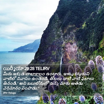 యిర్మీయా 29:28 TELIRV Bible Verse Image